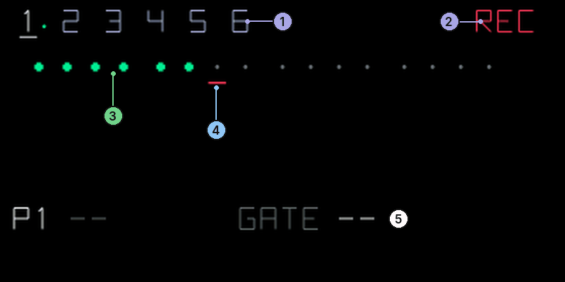 Dots page in record mode: slot tabs 1 to 6, REC, a row of green steps and a cursor